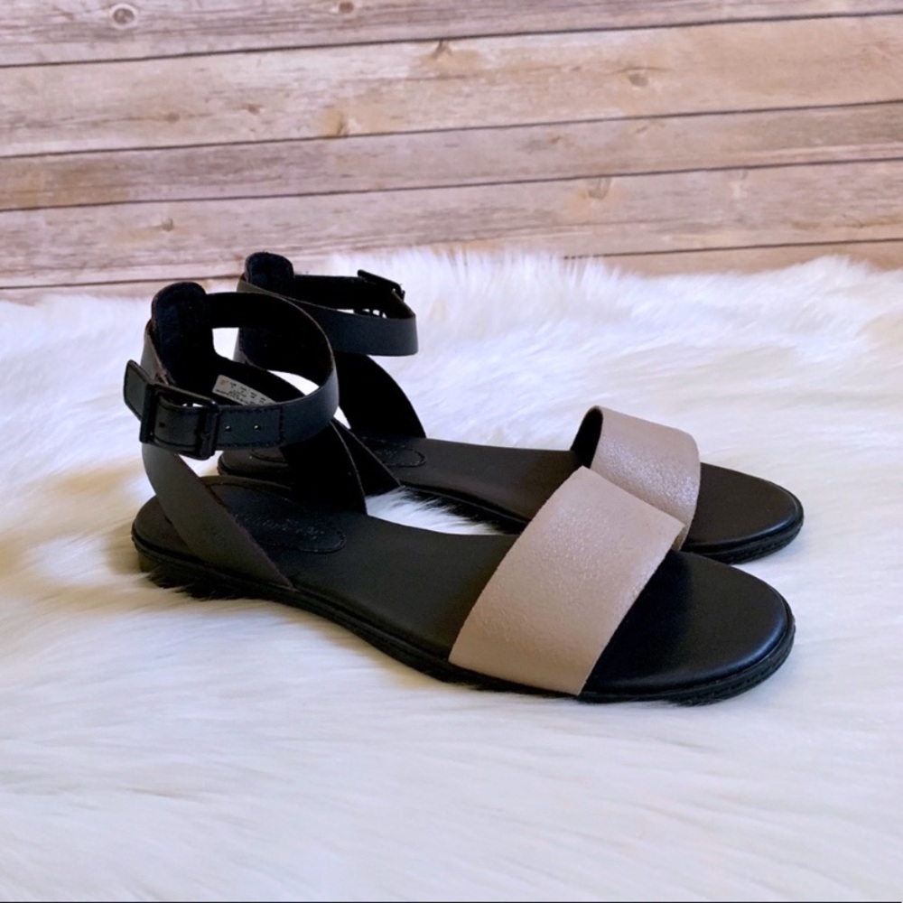 Timberland Cherrybrook Leather Sandals - Picture 4 of 6
